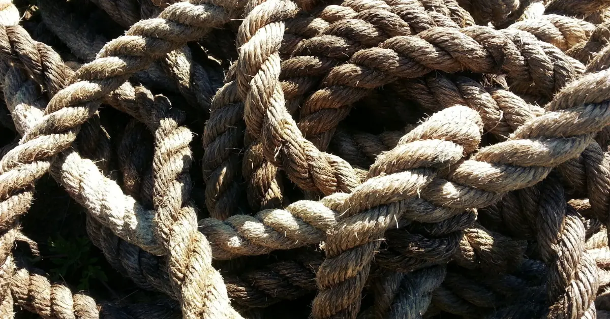 Bill Gaede Rope Hypothesis